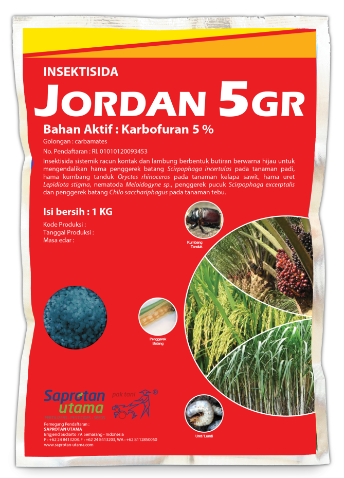 Jordan 5 GR